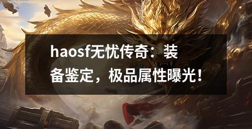 haosf无忧传奇：装备鉴定，极品属性曝光！