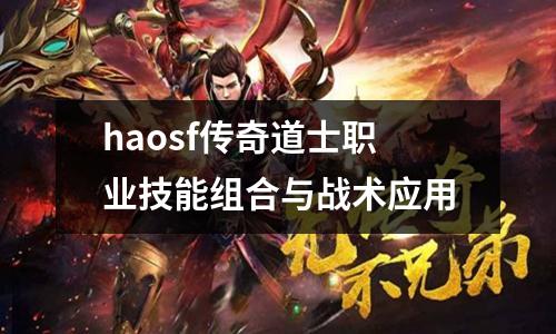 haosf传奇道士职业技能组合与战术应用