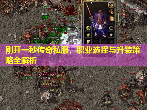 刚开一秒传奇私服，职业选择与升装策略全解析