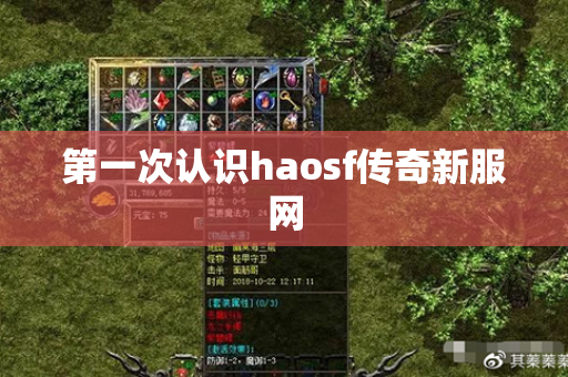第一次认识haosf传奇新服网