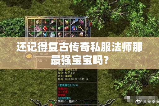 还记得复古传奇私服法师那最强宝宝吗？