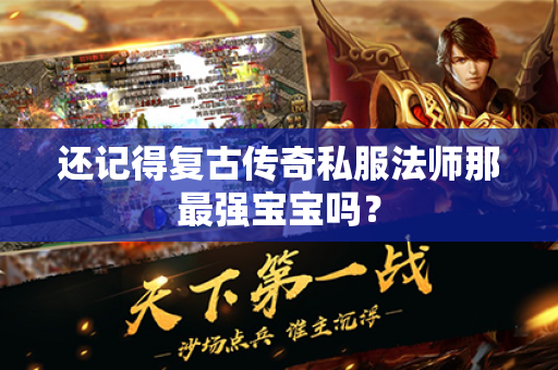 还记得复古传奇私服法师那最强宝宝吗？