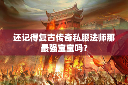 还记得复古传奇私服法师那最强宝宝吗？